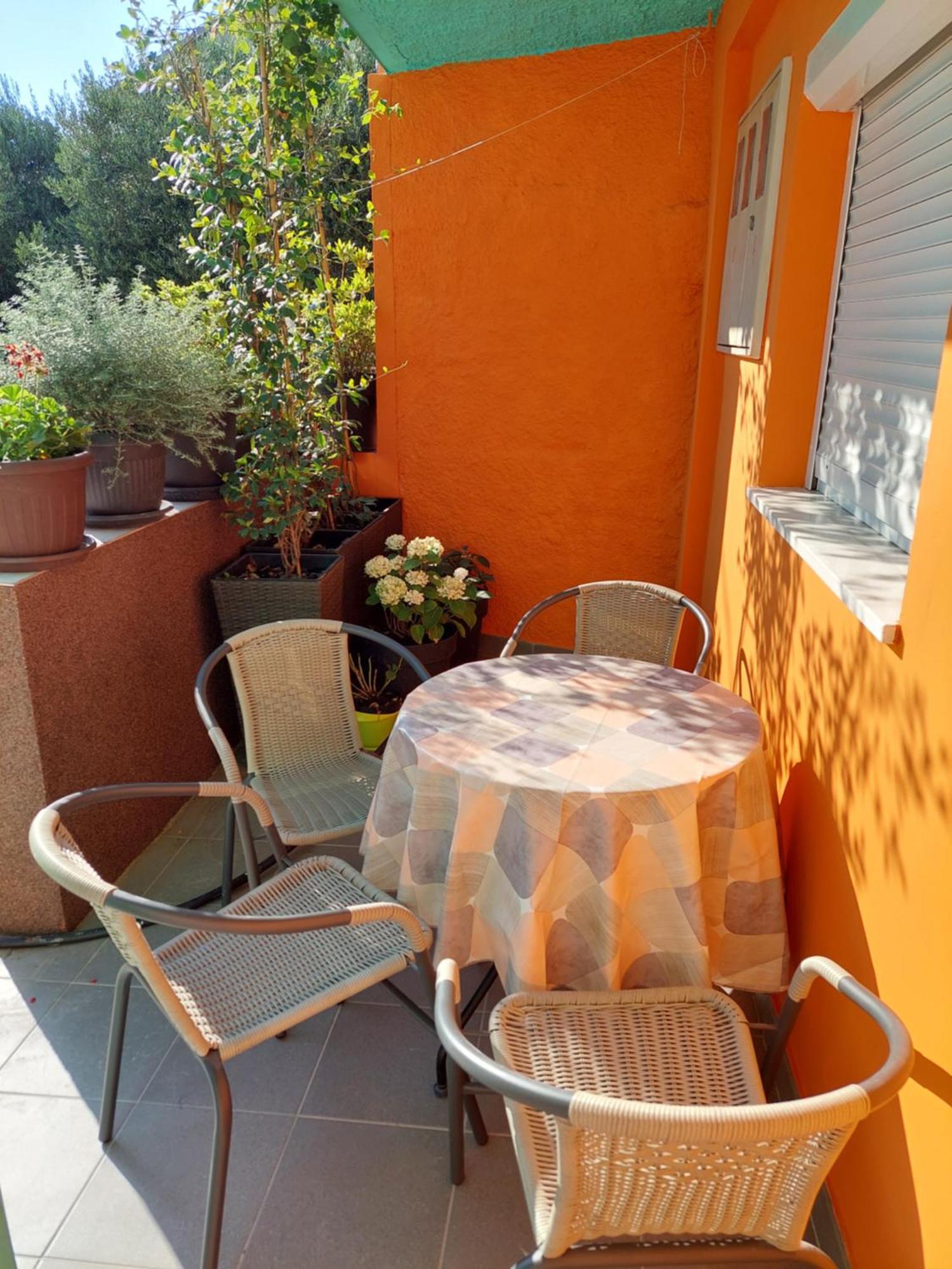 Mexicana Apartment Yellow Zadar Exterior photo